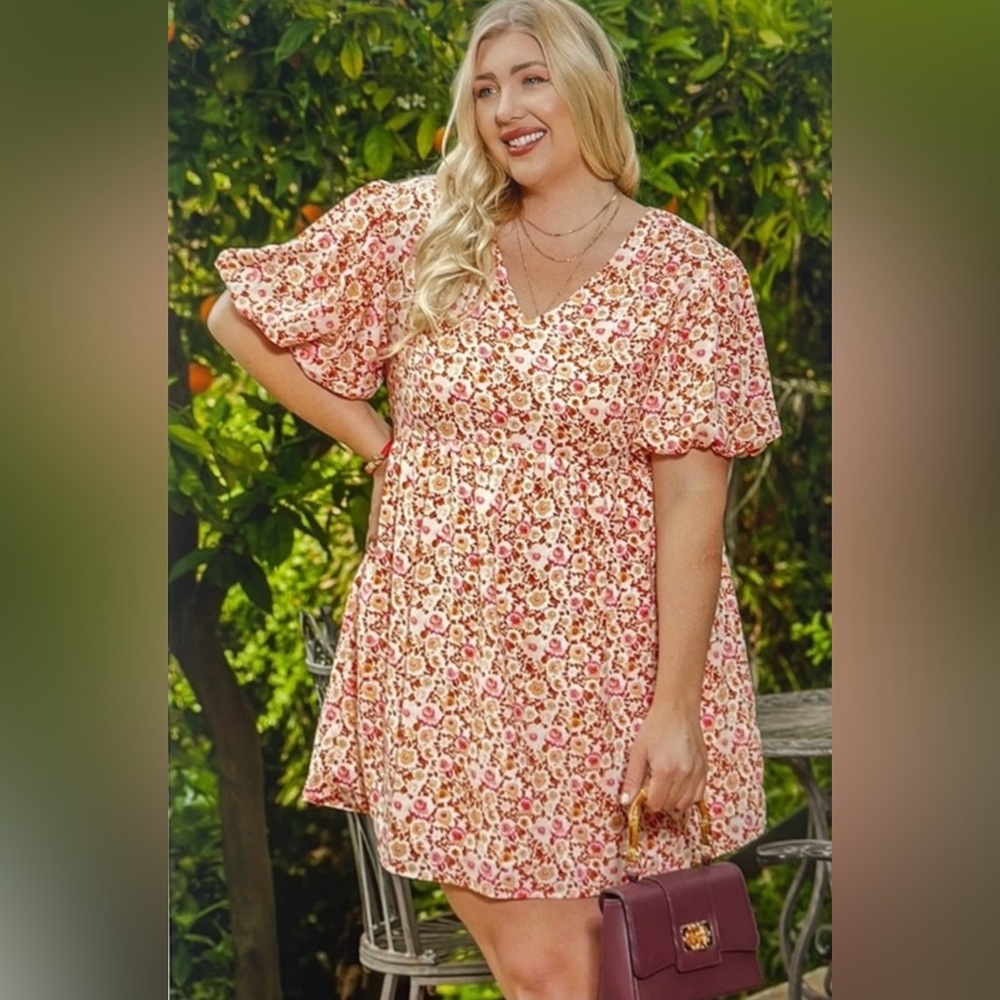 Floral Dress With Lining NEW 2X Plus Size Short Sleeves V Neck Spring Summer